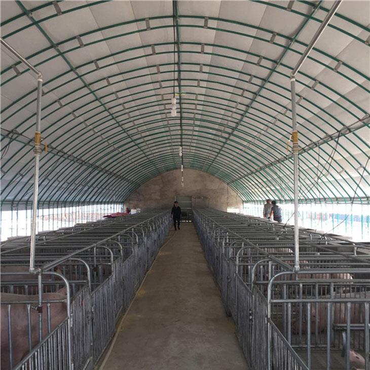 養豬大棚 養豬大棚