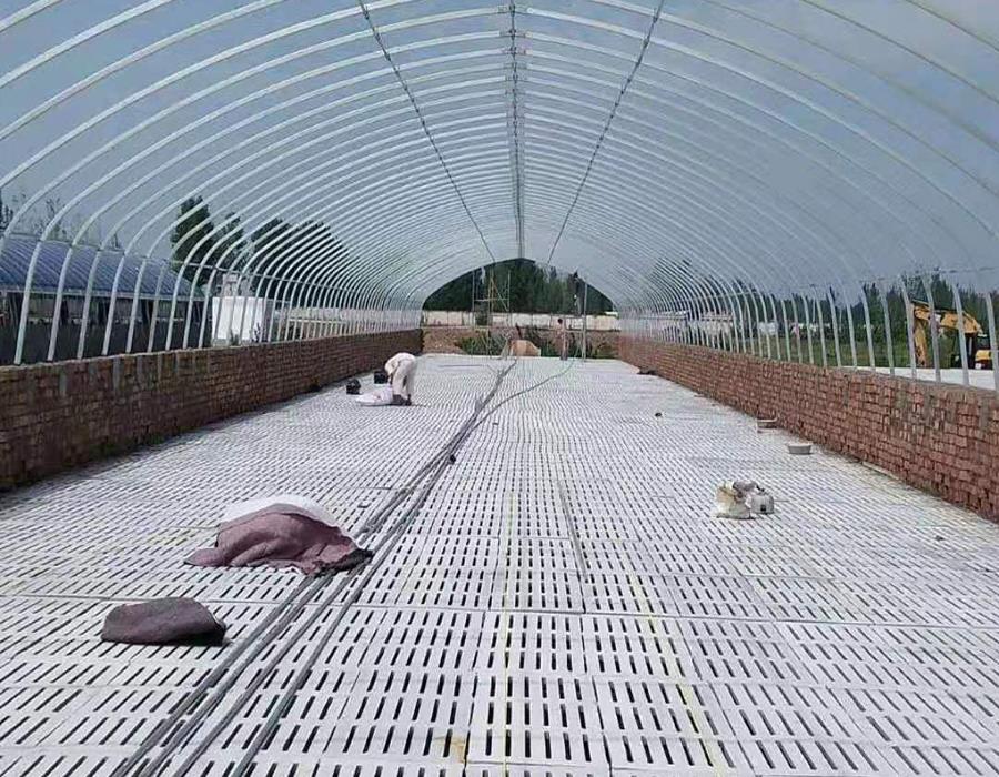 養豬大棚1.jpg 養豬大棚1.jpg