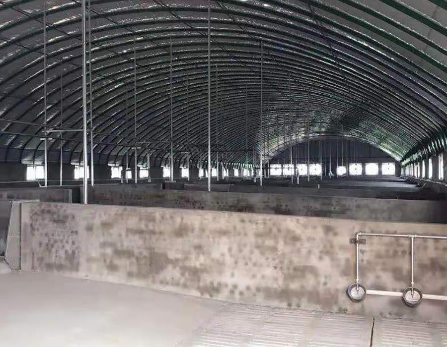 大棚養豬1.jpg 大棚養豬1.jpg