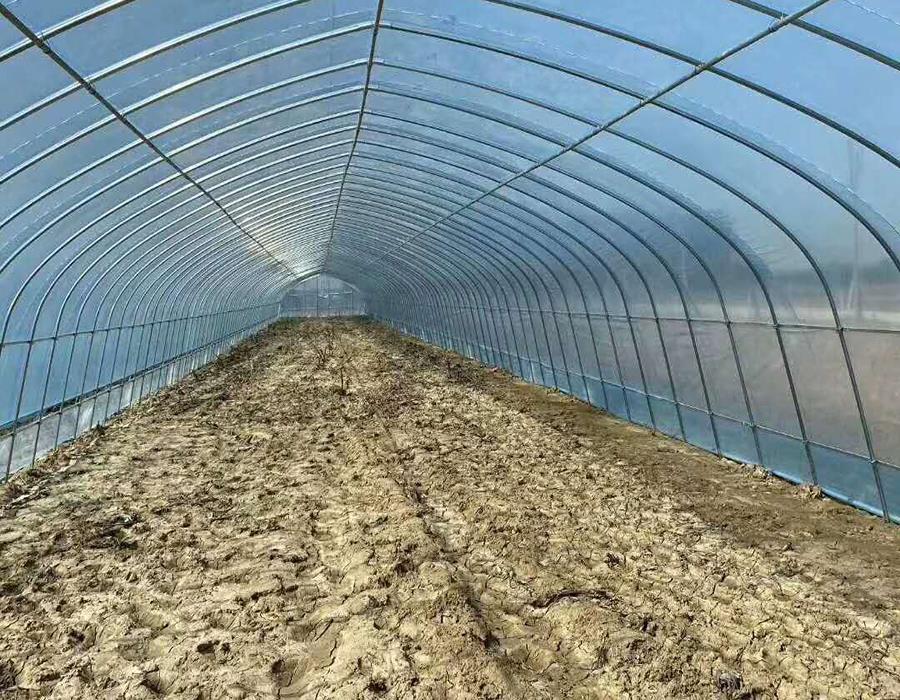 豬舍大棚鋼架的特點