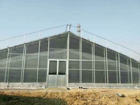 src=http___filecdn.wancibp.com_uploads_14364_22365_202107_58aeb9295f67875bbfebda9bac08d011.jpg&refer=http___filecdn.wancibp.jpg src=http___filecdn.wancibp.com_uploads_14364_22365_202107_58aeb9295f67875bbfebda9bac08d011.jpg&refer=http___filecdn.wancibp.jpg