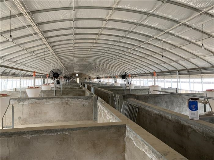 豬舍大棚鋼架如何搭建進行養殖.jpg 豬舍大棚鋼架如何搭建進行養殖.jpg