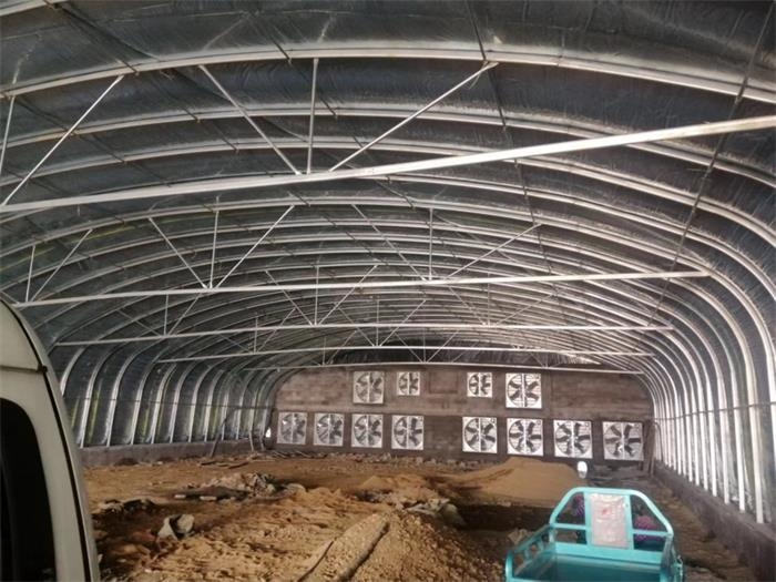 豬舍大棚鋼架的搭建需要注意哪些問題.jpg 豬舍大棚鋼架的搭建需要注意哪些問題.jpg