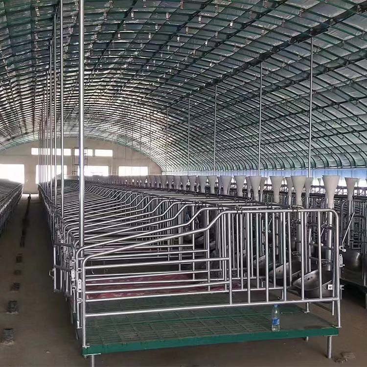 w=750&h=750&s=8E936481C2AF8AEE4011B4890100F0C3 w=750&h=750&s=8E936481C2AF8AEE4011B4890100F0C3