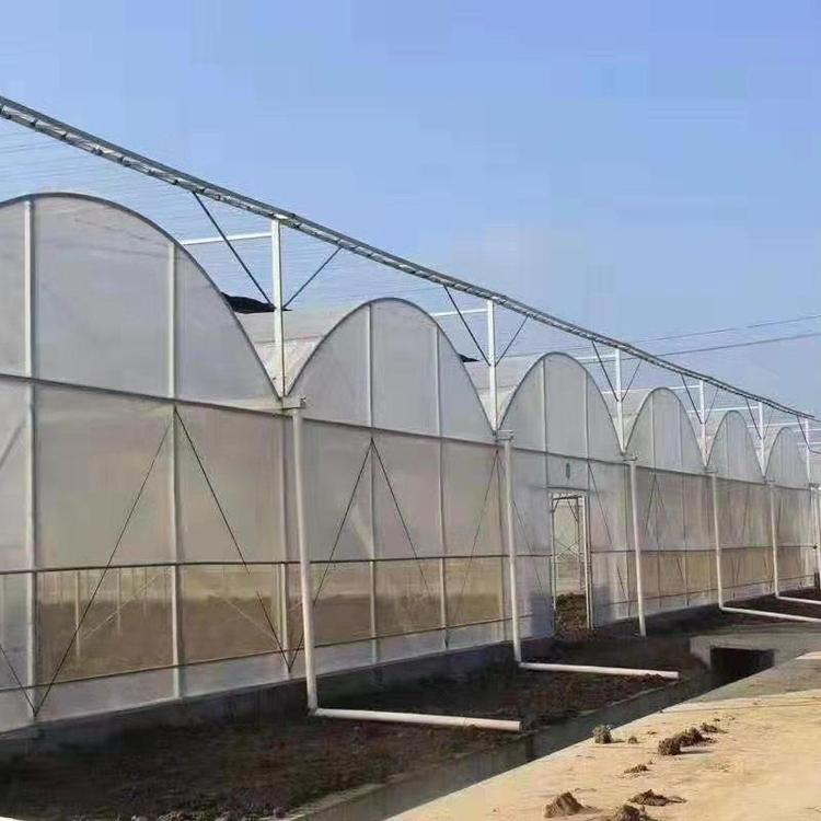 u=4213946189,190591402&fm=199&app=68&f=JPEG u=4213946189,190591402&fm=199&app=68&f=JPEG