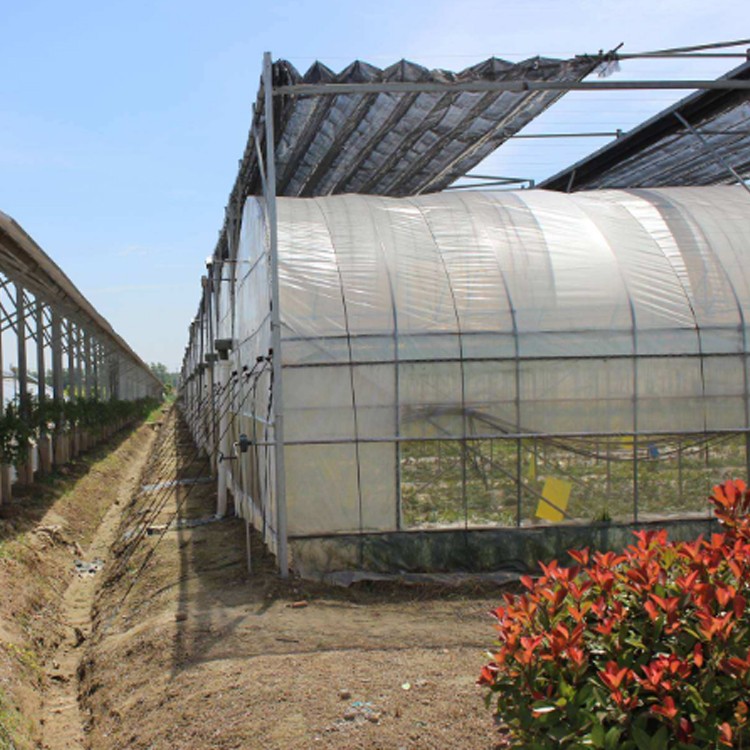 大棚管35 大棚管35