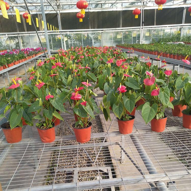 w=750&h=750&s=E5A22EF14AAE86CC042DE03403003052 w=750&h=750&s=E5A22EF14AAE86CC042DE03403003052