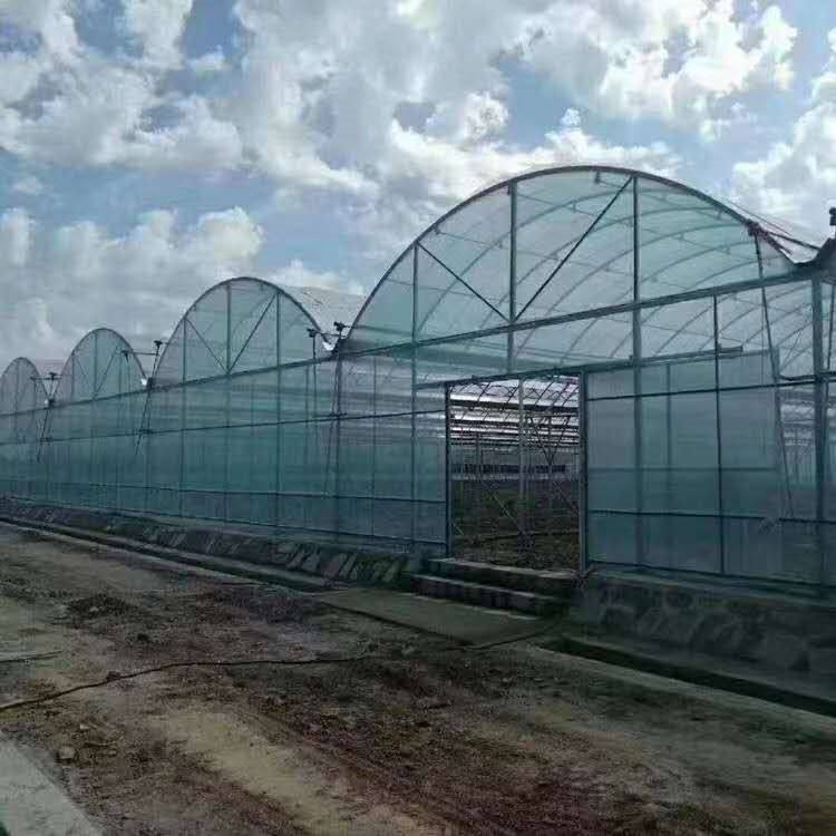 w=750&h=750&s=57B617C0C0CF3B4F34892D010300F0C9 w=750&h=750&s=57B617C0C0CF3B4F34892D010300F0C9