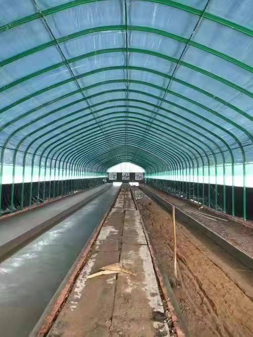 u=1879003370,4010246168&fm=199&app=68&f=JPEG