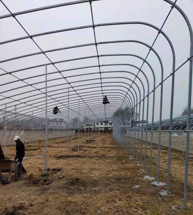 u=533692498,2356588153&fm=199&app=68&f=JPEG u=533692498,2356588153&fm=199&app=68&f=JPEG